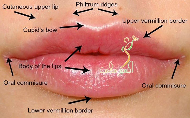  درمان چروک های دور لب
