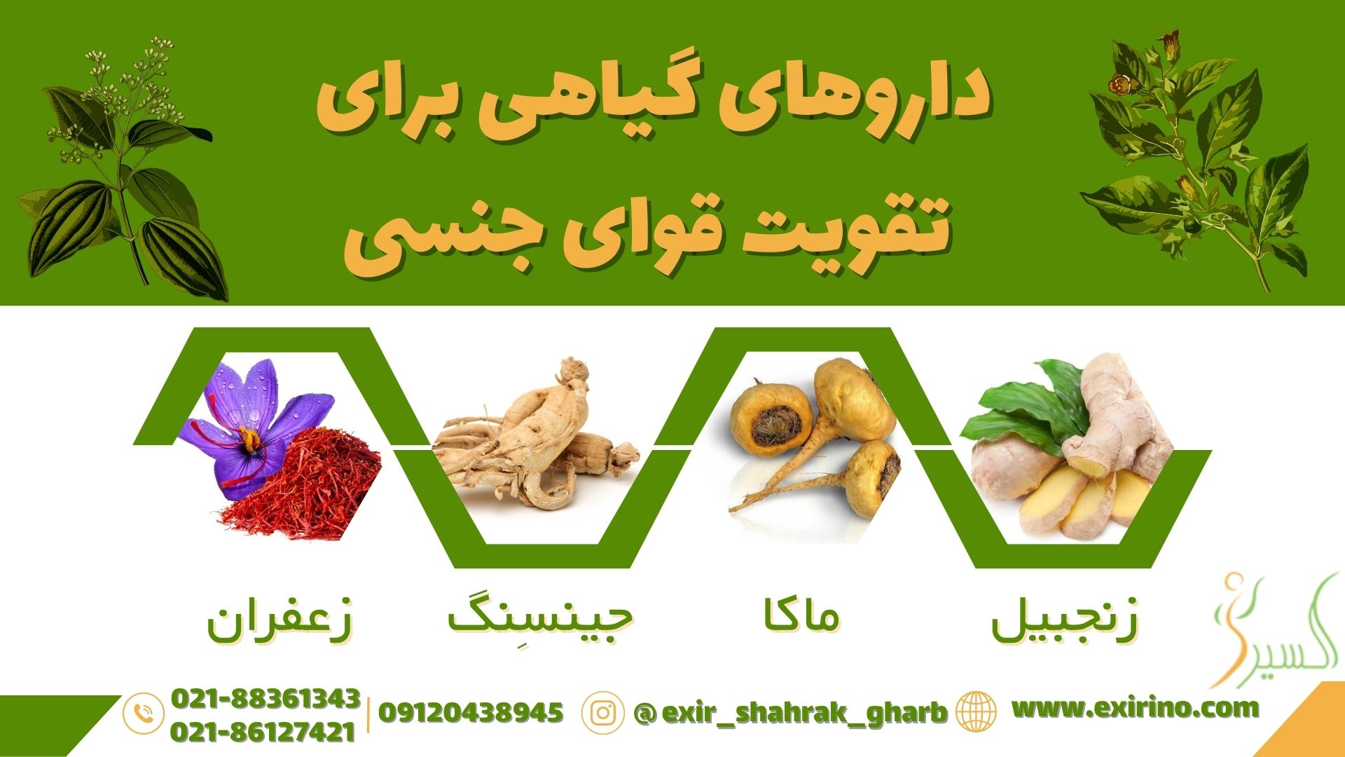داروهای گیاهی برای تقویت قوای جنسی