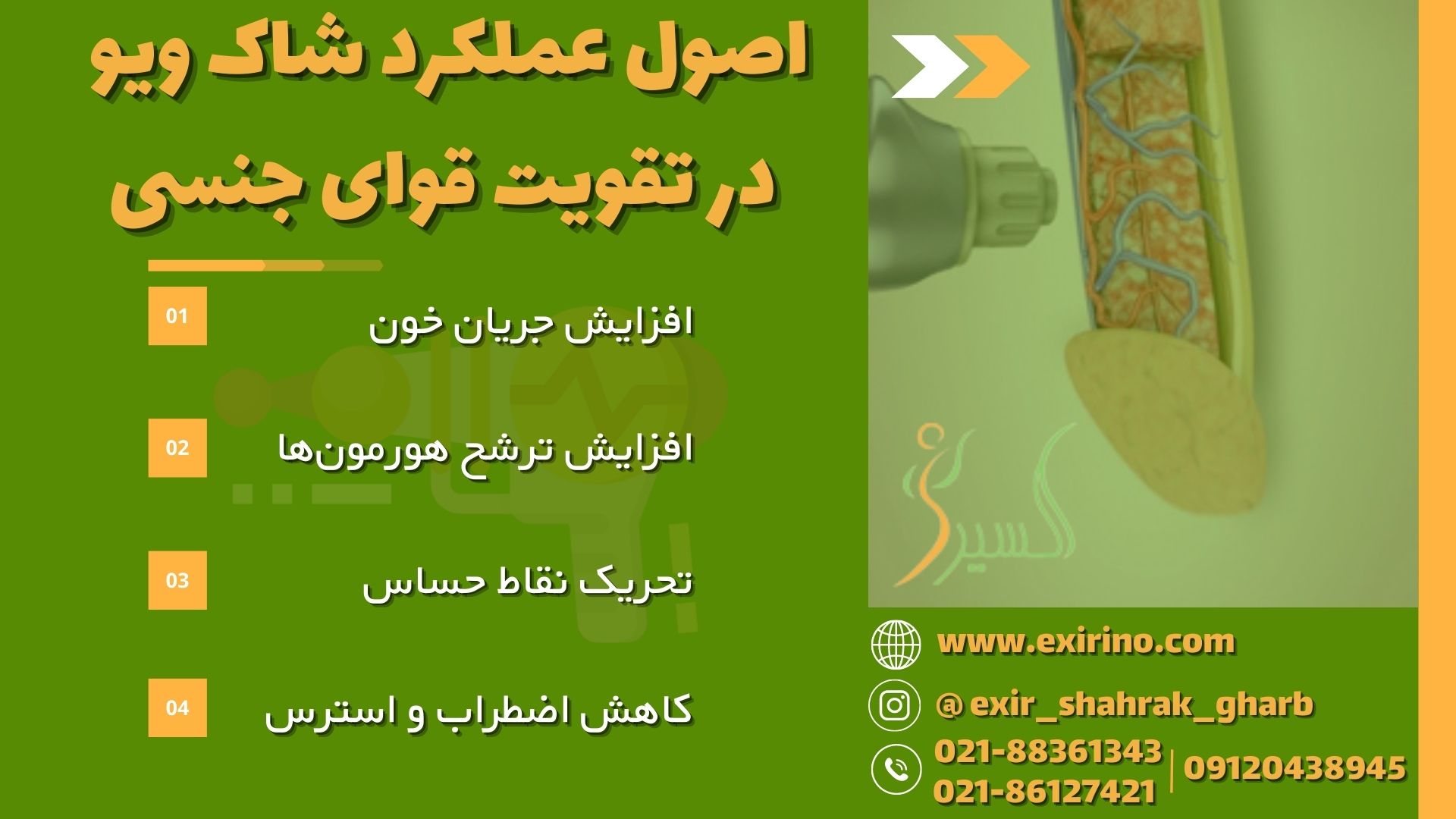 اصول عملکرد شاک ویو در تقویت قوای جنسی