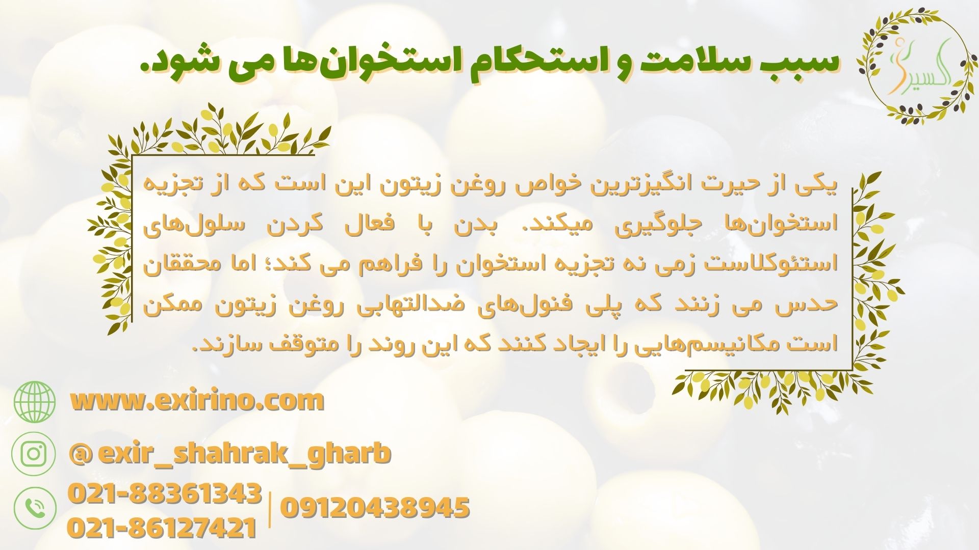 سبب سلامت و استحکام استخوان&zwnj;ها می &zwnj;شود.