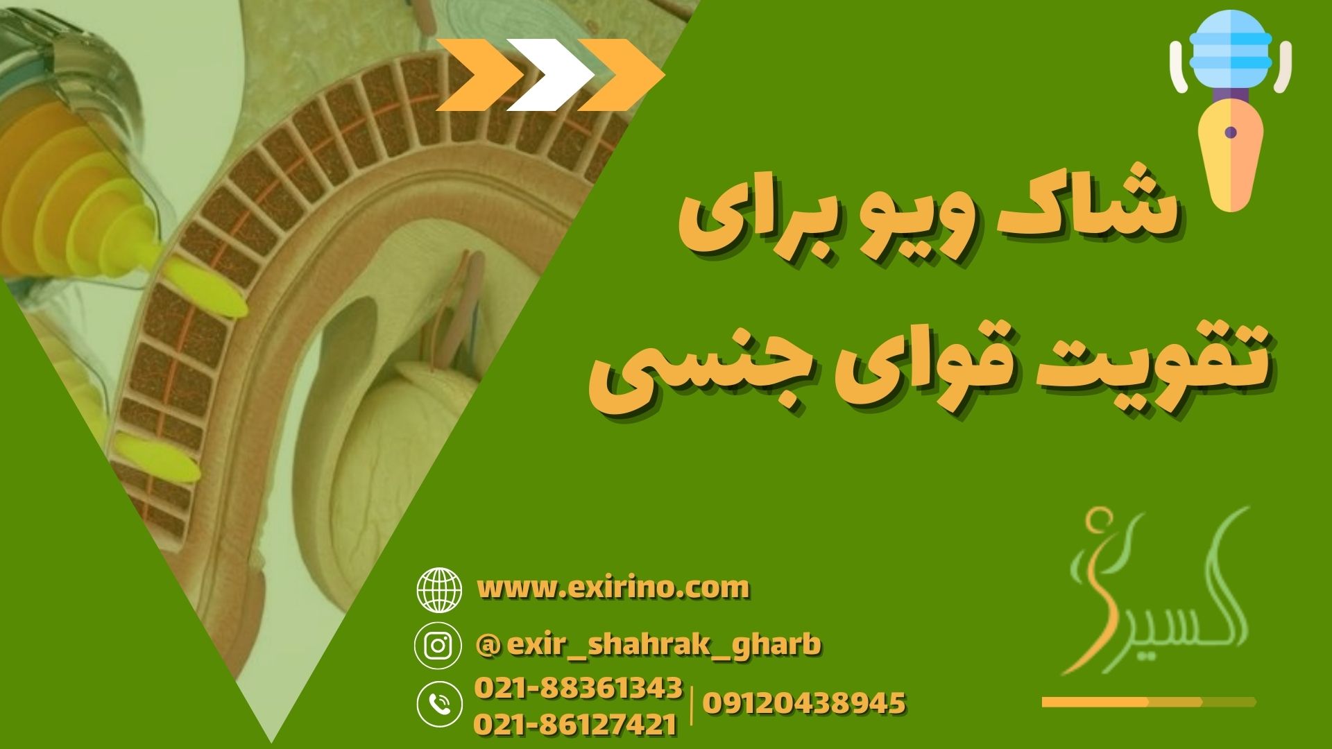 شاک ویو برای تقویت قوای جنسی