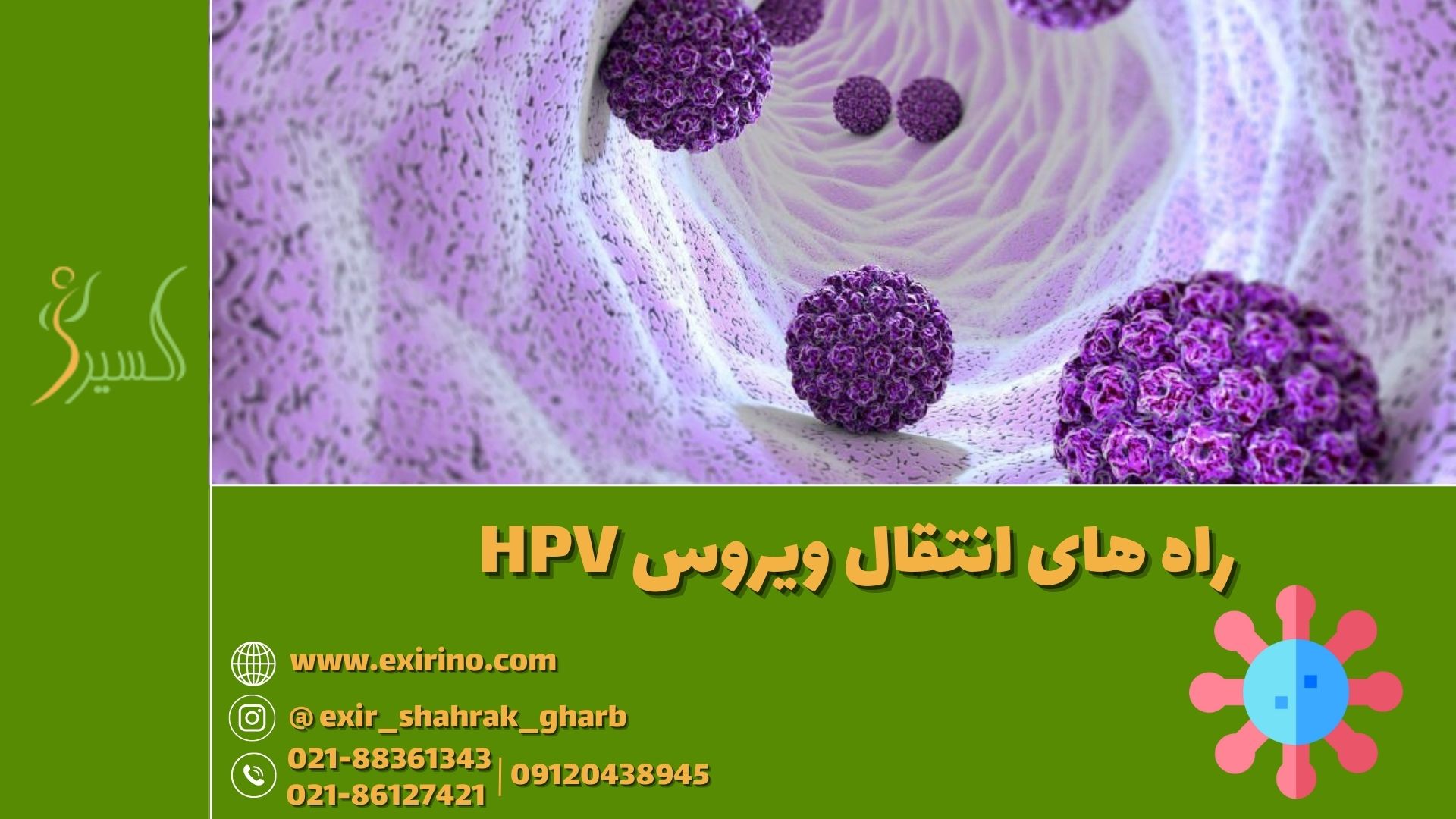 راه های انتقال ویروس HPV